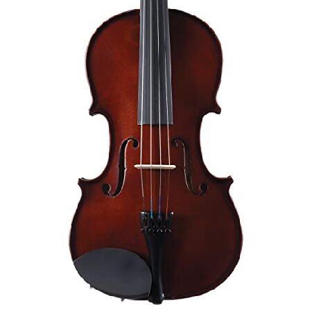 Palatino VN-450-1 Allegro Violin Outfit, Size