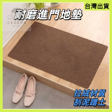 快速出貨 進門地墊 腳踏墊 玄關地墊 刮泥地墊 地毯地墊 踏墊 腳踏墊玄關 門口除塵 大門地墊 刮沙地墊 入門地墊 耐磨