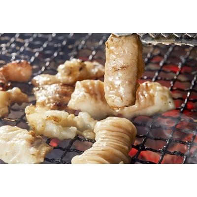 ふるさと納税 赤平市 人気の特製ホルモン入り!3種の焼肉セット