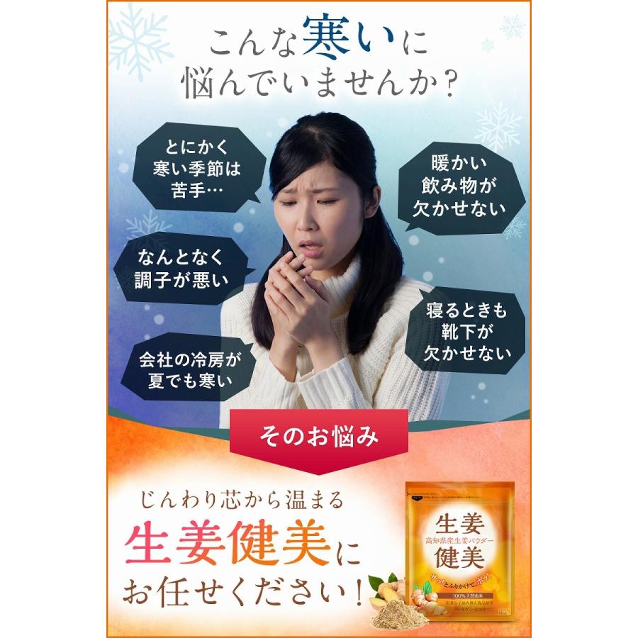 高知県産 生生姜100%使用 生姜パウダー 非遺伝子組み換え アレルゲンゼロ 添加物ゼロ 生姜健美 100g ショウガオール