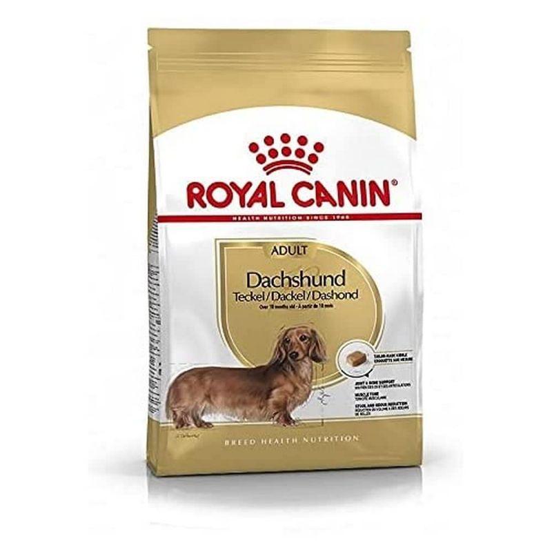 ロイヤルカナン（ROYAL CANIN） プードル ブリード ヘルス