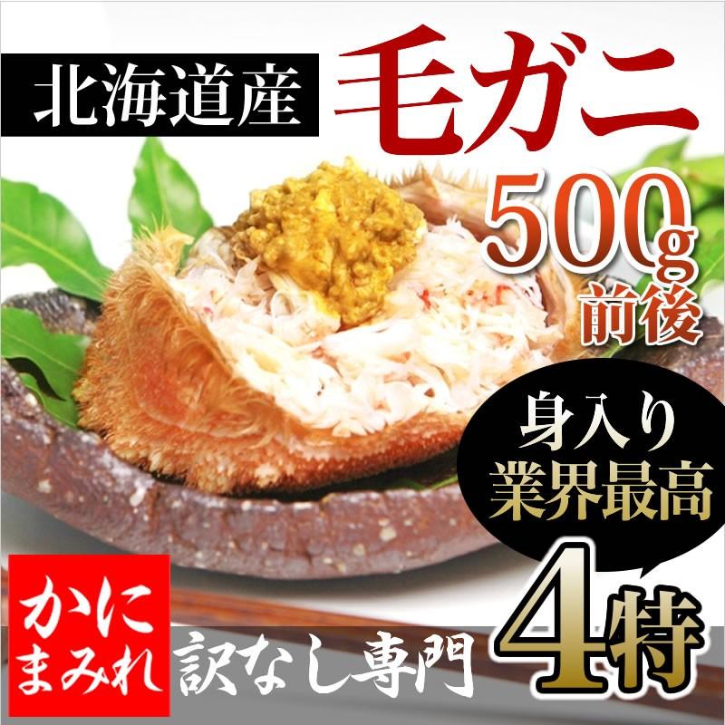 無添加 浜茹で毛ガニ(500g)　流氷明け（海明け）別格の雄武・枝幸・頓別産