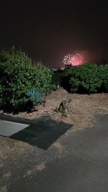 大樹近義大果實豐碩荔枝園農地｜高雄市大樹區興和段