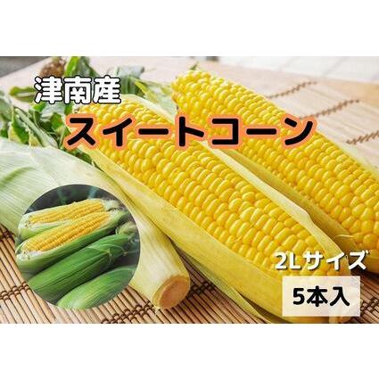 ふるさと納税 朝取りスイートコーン 2Lサイズ 5本（1本約400g） 新潟県津南町