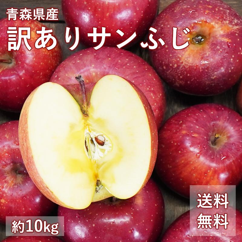 送料無料 青森県産 訳あり サンふじ ご家庭用約10kg 人気の訳ありリンゴ 家庭用 青森 青森産 訳あり サンふじ りんご 林檎 ふじ ks