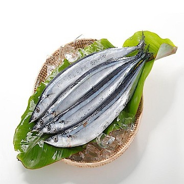 【華得水產】台灣野生巨無霸秋刀魚2包組(480-500g 約3尾/包/巨無霸)