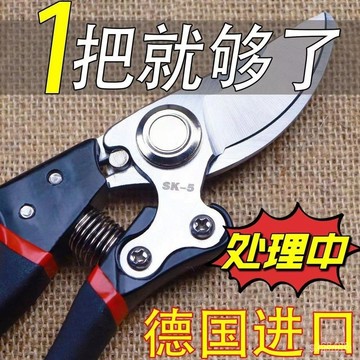 臺灣出貨💥修枝剪樹剪橘子果樹剪強力果樹傢用葡萄修剪專用花木SK5大全進口 NVJ2