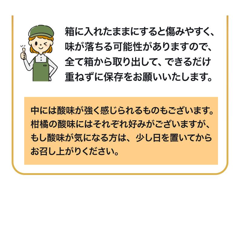 みかん 熊本県産 早生 秀品みかん 12月出荷 予約 味いち小玉みかん 3kg 2S 3Sサイズ 糖度12度以上 熊本産 産地直送 送料無料 S常