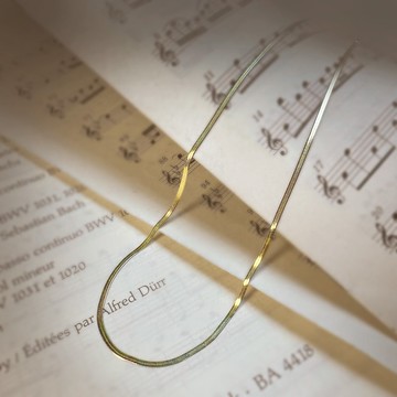 14K金色 316醫療鋼項鍊/抗敏 可配戴洗澡 不鏽鋼 鎖骨鍊 頸鍊