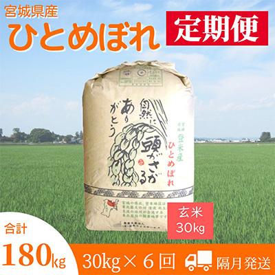 ふるさと納税 登米市 2024年1月発送開始『定期便』宮城県登米市産ひとめぼれ(玄米)30kg(隔月)全6回