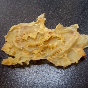 『老古意Old Good Eat 』魚肚(花膠) 魚膠  魚標100公克