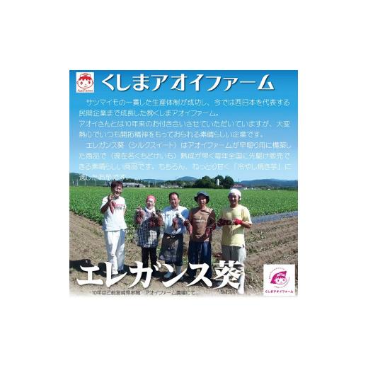 ふるさと納税 愛知県 碧南市 焼き芋 蜜たっぷり！冷やし焼き芋 ひえひえ君 食べ比べ 1kg エレガンス葵＆紅はるか 芋スイーツ　H047-032