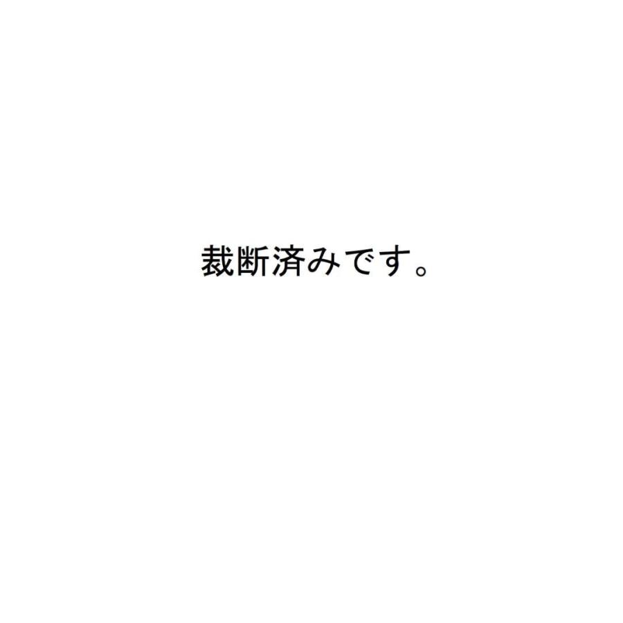 裁断済 所得税確定申告書記載例集　令和５年３月申告用