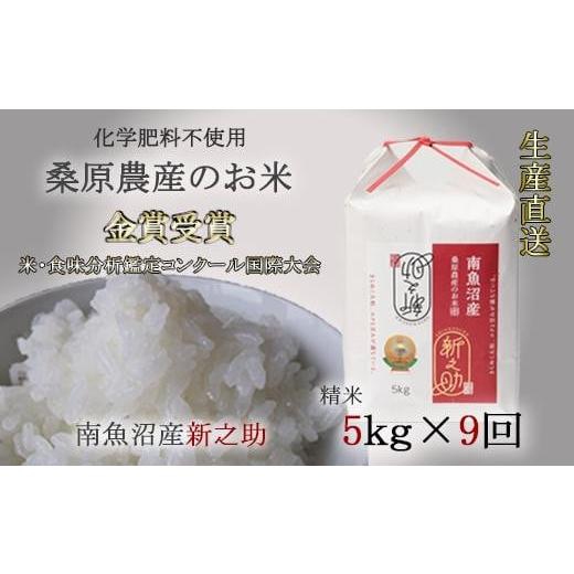 ふるさと納税 新潟県 南魚沼市 （新米予約）桑原農産のお米5kg×9ヵ月　南魚沼産新之助