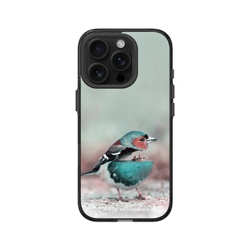 iPhone 16 Pro Clear (相機按鈕) 酷墨灰 - Julien Tabet - 水鳥