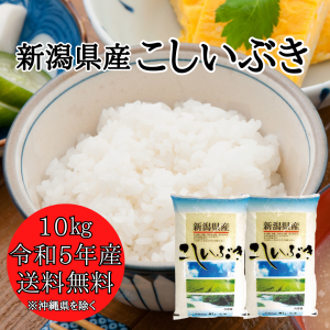 新潟県産 こしいぶき 10kg （5キロ×2袋）  米 10キロ 送料無料 精米 令和5年 10kg お米