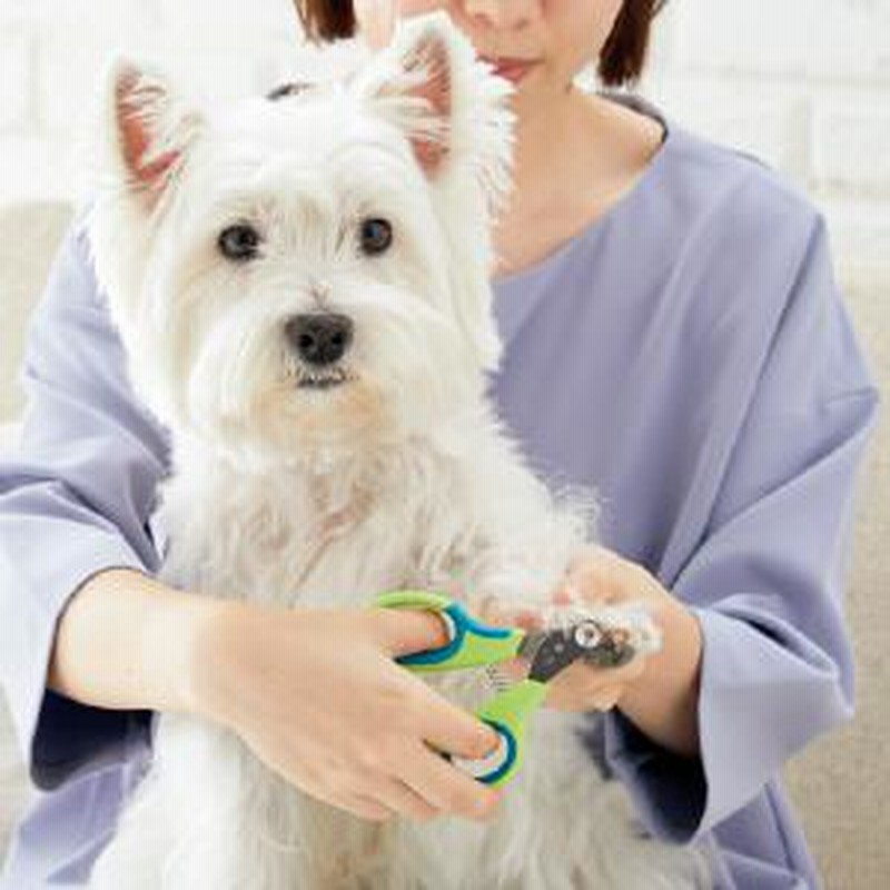 N R エヌアンドアール ゼンクリッパー 直径1 5mm ブラシ 爪切り 犬用 通販 Lineポイント最大get Lineショッピング