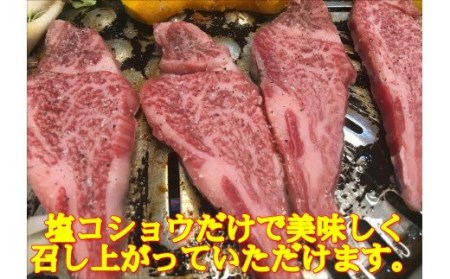 飛騨牛ヒレ切り落とし肉焼肉用500g 38-005