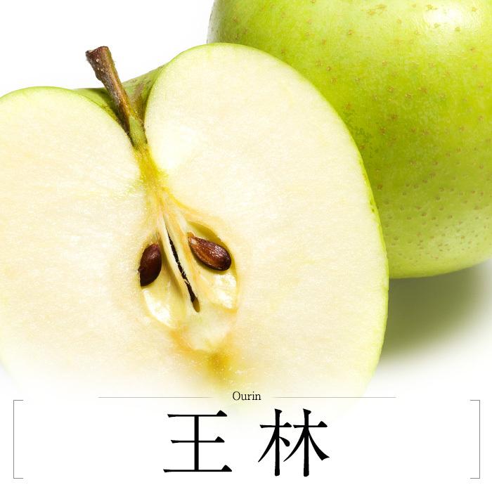 りんご 青森県産 サンふじ 王林 MIX 特A 約3kg 9〜12玉