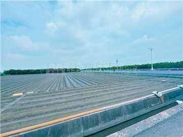 專約雲林東勢25米路旁角農地｜雲林縣東勢鄉四美段