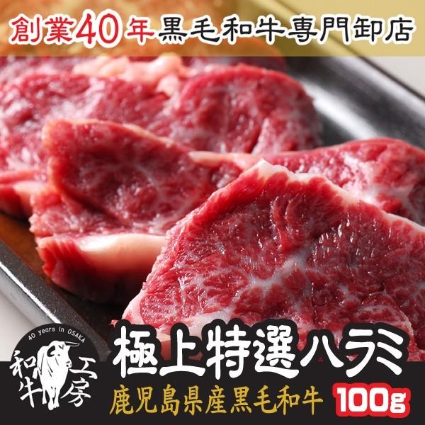 ハラミ 肉 ホルモン 鹿児島黒牛 A5 最高ランク 黒毛和牛 極上特選 ハラミ 100g 秘伝塩こしょう付き ギフト