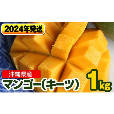 ふるさと納税 南国の果物　沖縄県産マンゴー　キーツ　1kg 沖縄県南風原町