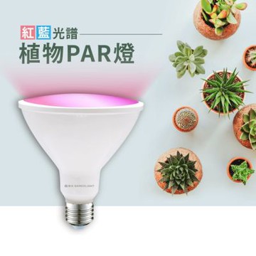 【DanceLight 舞光】紅藍光譜植物PAR燈 植物專屬 植物燈泡 可搭配E27燈座使用 IP66防塵防水 PAR38