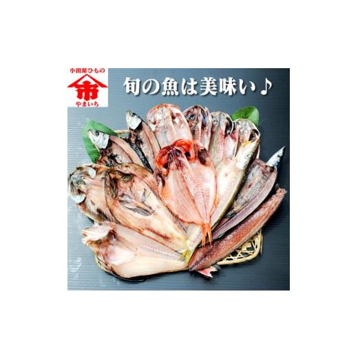 ふるさと納税 神奈川県 小田原市 おまかせ干物セット 3倍セット【惣菜 魚 干物 ひもの お取り寄せ 御中元 お中元 お歳暮 父の日 母の日 贈り物 家庭用 自宅用 …