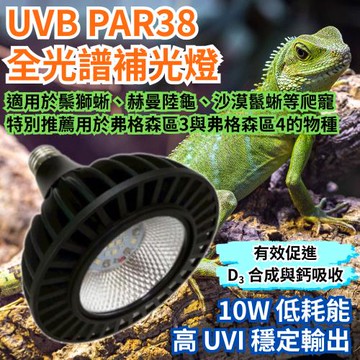 UVB 全光譜 LED 爬蟲燈 PAR38 10W｜高 UVI 補光燈 適用鬃獅蜥 陸龜 沙漠鬣蜥 1入
