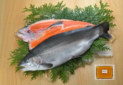 海峡サーモン船上活〆2.5kg１本(冷蔵)