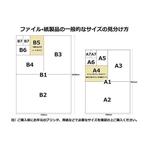 キングジム 再生透明ポケット A4S 2穴 207-100