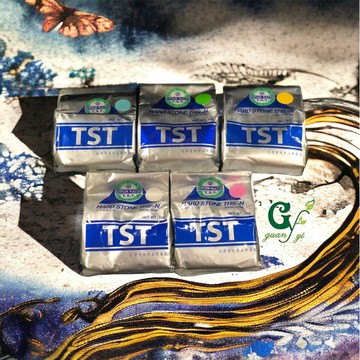 資生堂 TST齒科超硬石膏粉 1kg原裝 石膏專用消泡劑