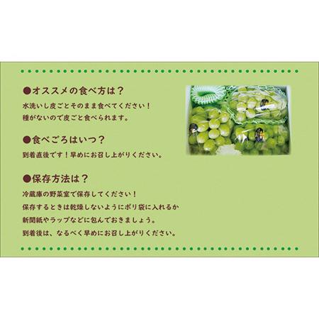 ふるさと納税 岡山県産シャインマスカット「晴王」　特選　大房　化粧箱入　1房（約700g）（令和６年8月中.. 岡山県備前市