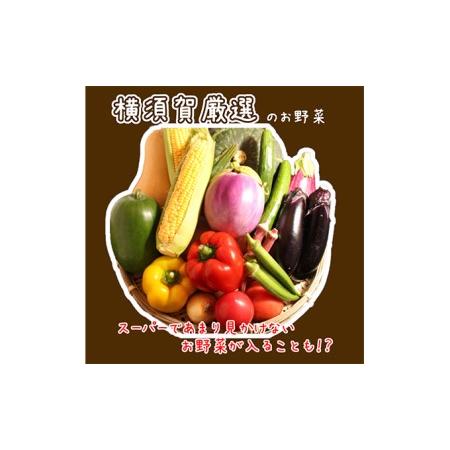 ふるさと納税 野菜セット 横須賀産 厳選 野菜 7種 詰め合わせ 神奈川県横須賀市