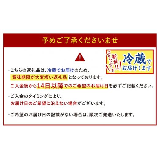 ふるさと納税 福岡県 北九州市  本場関門とらふぐ刺身・ふぐ鍋セット(2〜3人前)ふく一