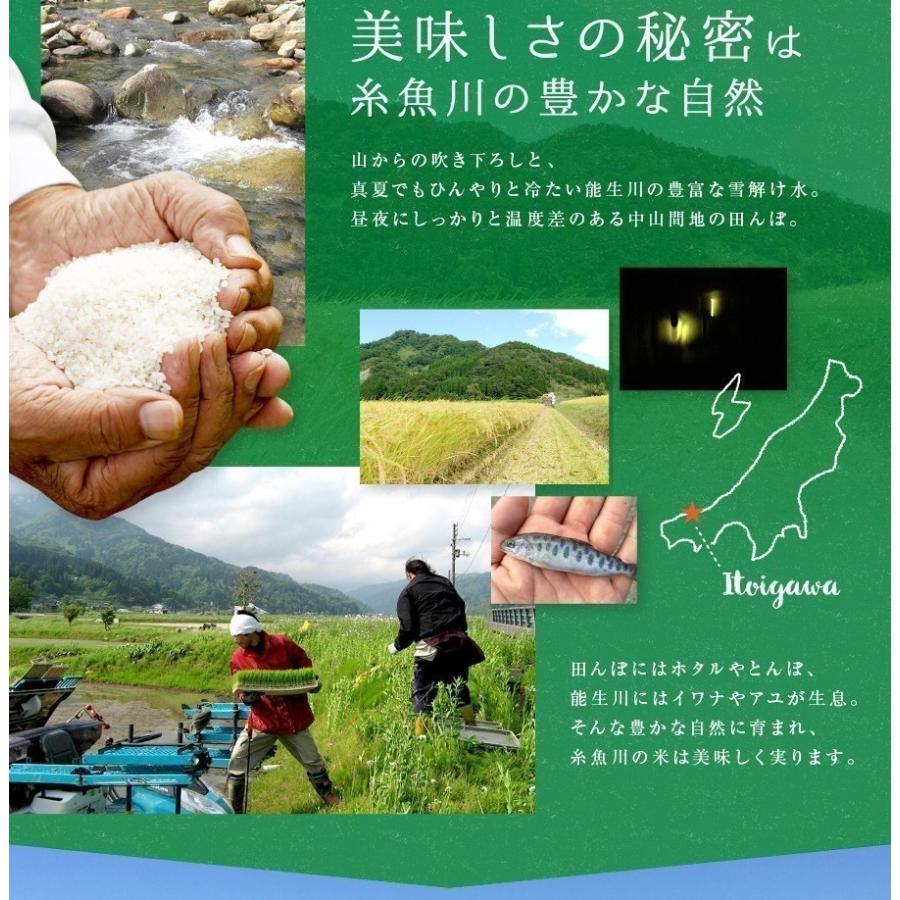 新米 令和５年 米 お米 5kg 白米 新潟 コシヒカリ 精米 農家直送 糸魚川 能生米 送料無料