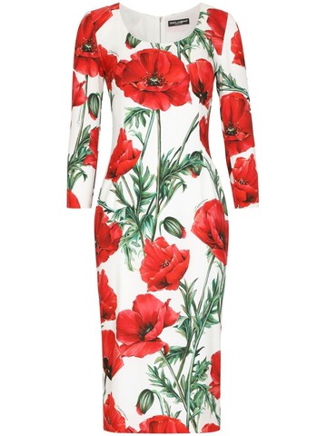 Dolce & Gabbana Poppy Print Dress