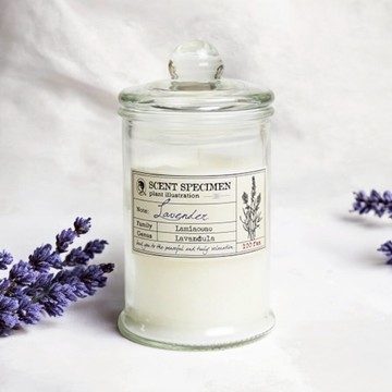 【賽先生科學工廠】氣味標本香氛蠟燭附布袋-花香系列3款