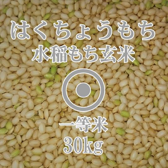 北海道産 はくちょうもち　もち米玄米 30kg　令和5年産　一等米　北海道米　糯米　もち米　農協米