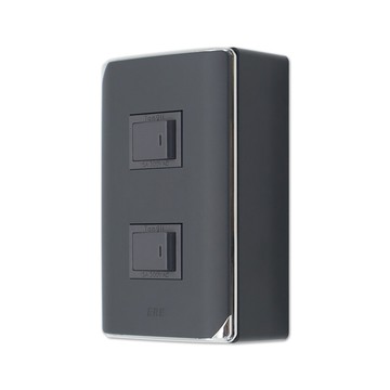 朝日電工 ds-2kh+b 縷光灰色系組合式雙開關明盒組