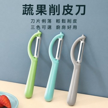 削皮刀 水果刀 廚房專用 不銹鋼 蔬果削皮去芽眼日常廚房備料適用 約16.5x3.5cm