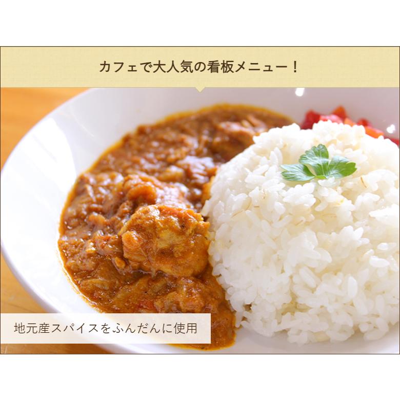 農×福スパイスカレー 6パック入り 惣菜 LAGOON cafe 送料無料