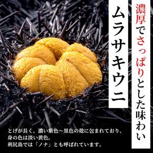 ふるさと納税 北海道 利尻 島産 塩水生うに（ムラサキウニ）100g×3パック [2024年6月出荷開始先行受付] ウニ 塩水ウニ 北海道利尻町