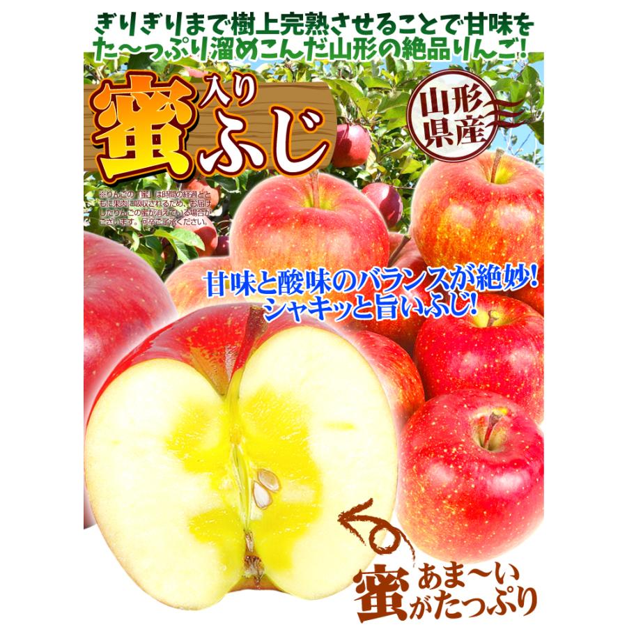 りんご 10kg 蜜入りふじ 山形産 ご家庭用 送料無料 食品