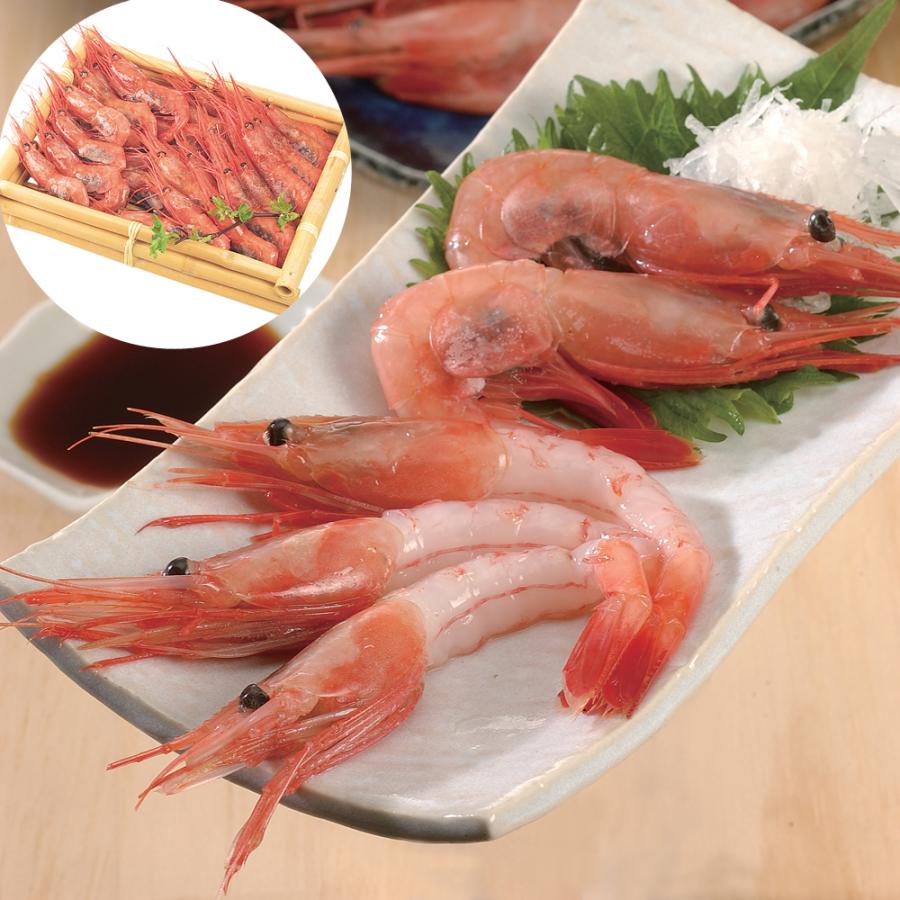 日本海 生甘えび500g（23-30尾） 急速冷凍 甘海老 生食用 刺身 あまえび 海鮮 食品 お取り寄せグルメ