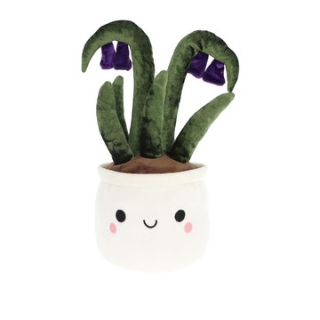 Keel Flower Bobballs Bluebell 藍鈴花盆栽30cm