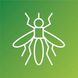 Interventions and Calibration