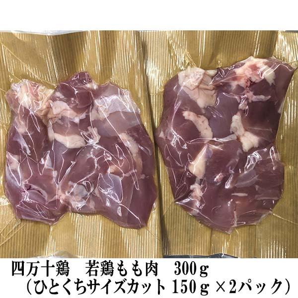 吉岡精肉店厳選 高知県産四万十ポーク 四万十鶏セット　豚ローストンテキ用　豚ローススライス　豚コマ切落し　ポークハム　ポークウインナー　若鶏モモ肉　国産