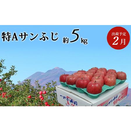 ふるさと納税 2月発送 特A サンふじ 約5kg  青森県弘前市