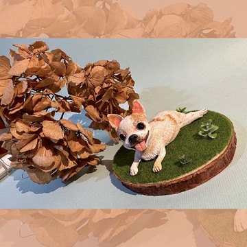 客製化寵物公仔【需取得設計師估價、請勿直接下單】